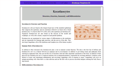 Desktop Screenshot of keratinocyte-transfection.com